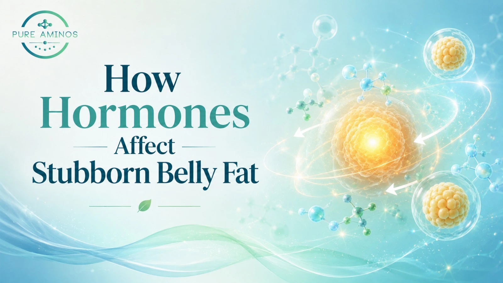How Hormones Affect Stubborn Belly Fat